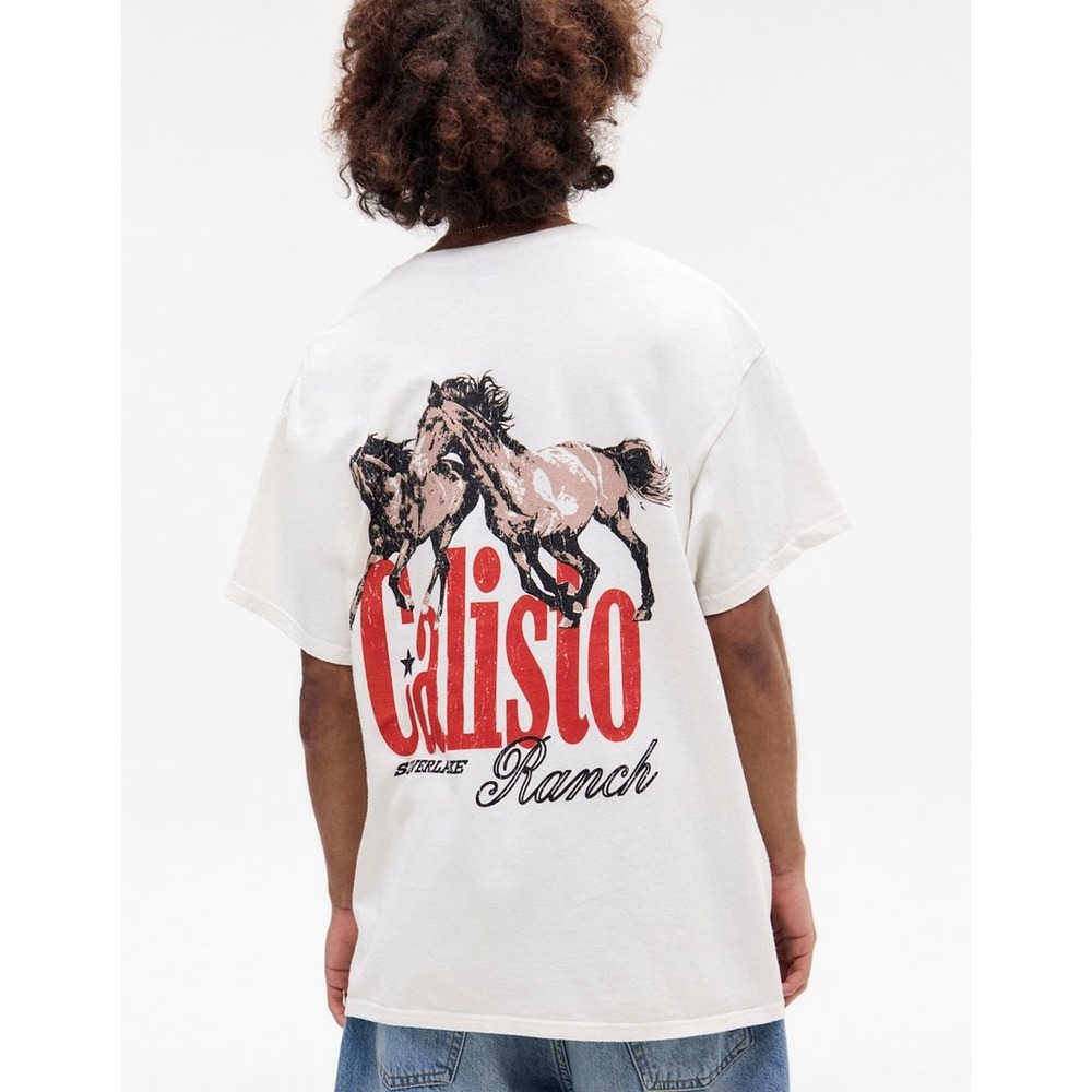 BDG Urban Outfitters Calisto Ranch Horse Graphic T-Shirt Mens L Western Retro